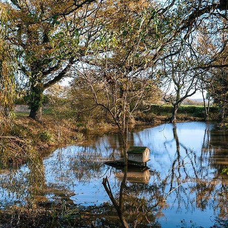 Charming Picturesque Cottage - Nr Tenterden & Rye, Pets Welcomed Rolvenden Bagian luar foto