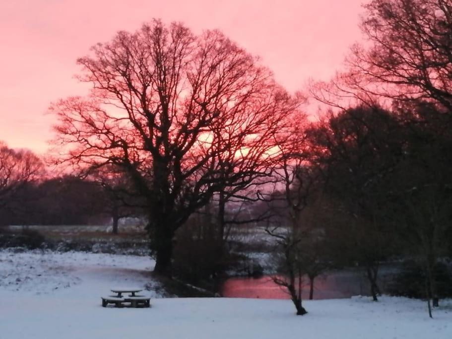 Charming Picturesque Cottage - Nr Tenterden & Rye, Pets Welcomed Rolvenden Bagian luar foto